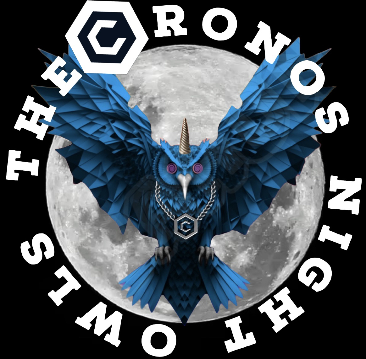 The Cronos Night Owls Logo